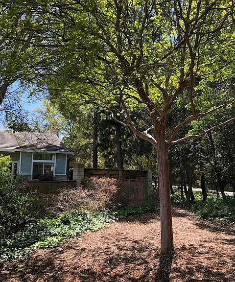 View of house from the green belt facing south
