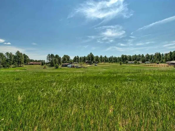 LOT 16 Dakota Pine Rd, Custer, SD 57730