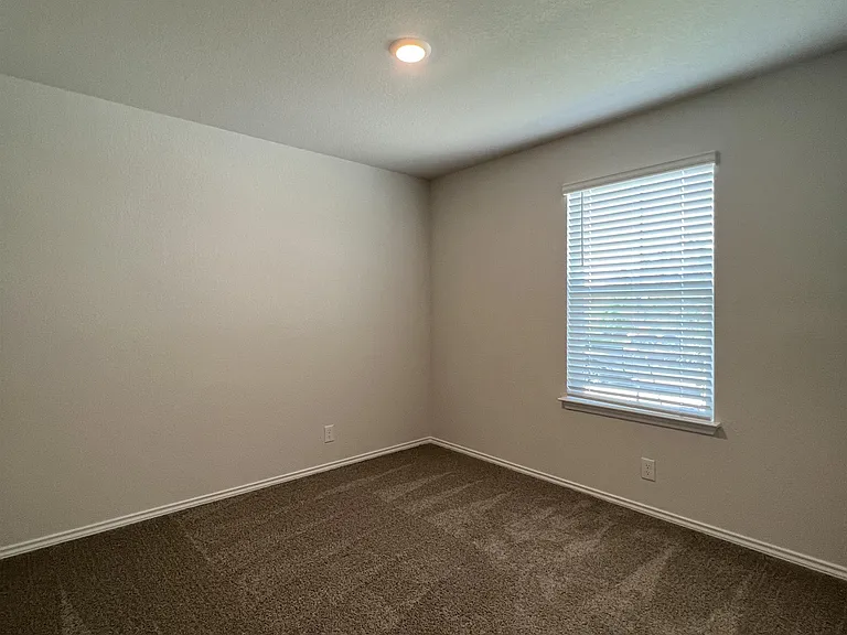15315 Shortwing — Photo 4