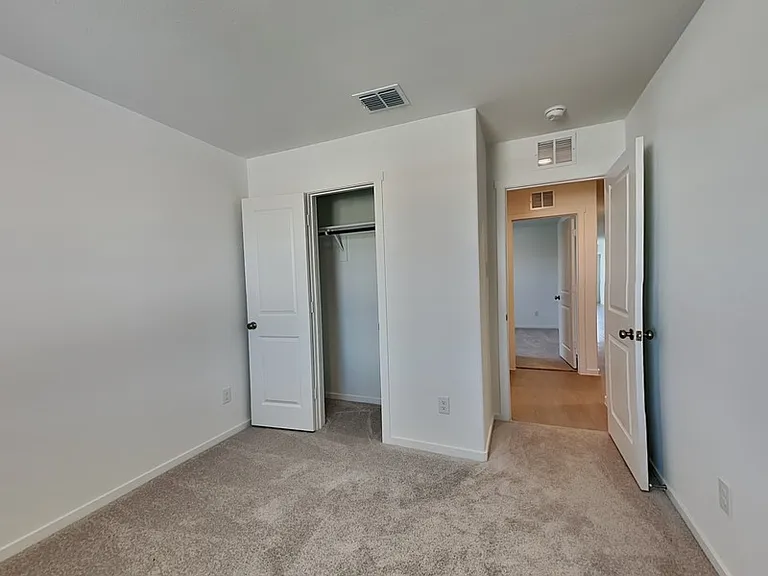3708 Scarlet Sage Way — Photo 10