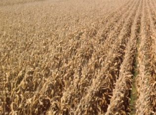 S Massbach Rd, Stockton, IL 61085