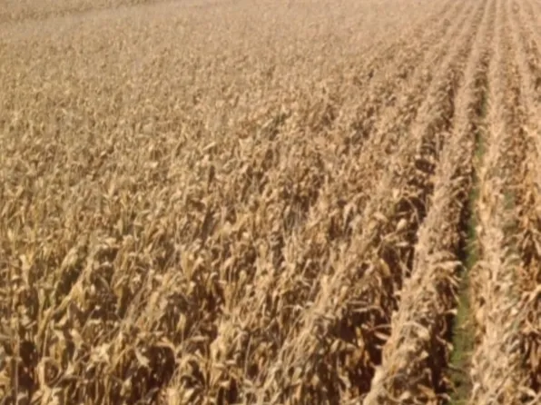 S Massbach Rd, Stockton, IL 61085