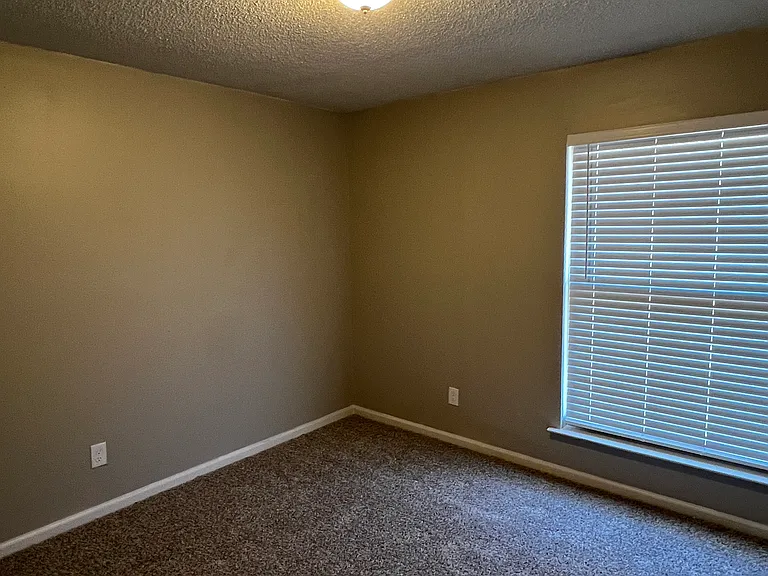 8803 Patricia Lynn Ln — Photo 15