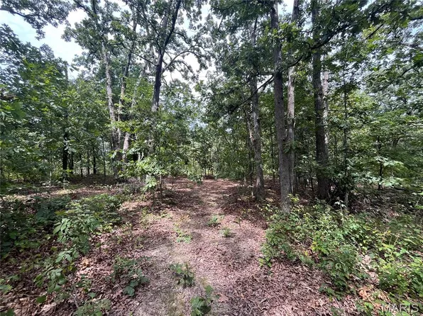 Tbd Partridge, Climax Springs, MO 65324
