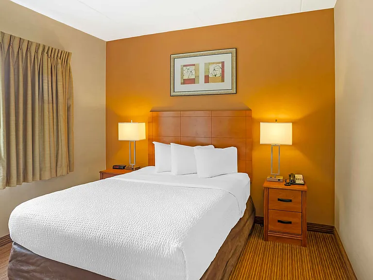 Deluxe Studio - 1 Queen Bed