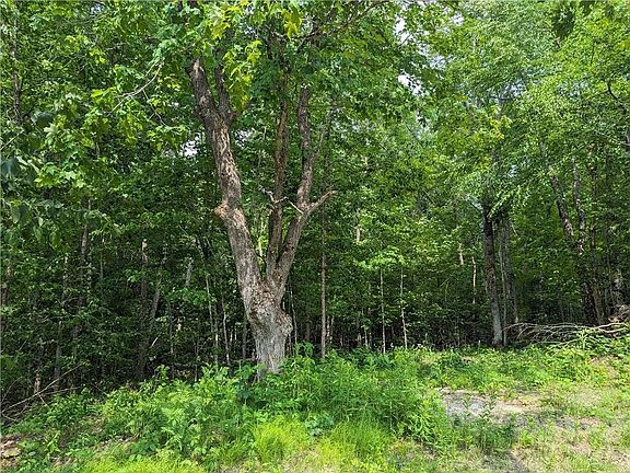 5th image of 0 Price Dam Road
