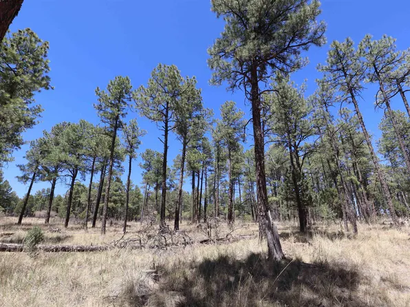 157 Dixwood Dr #8, Timberon, NM 88350