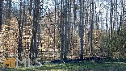 Wooded rear lot