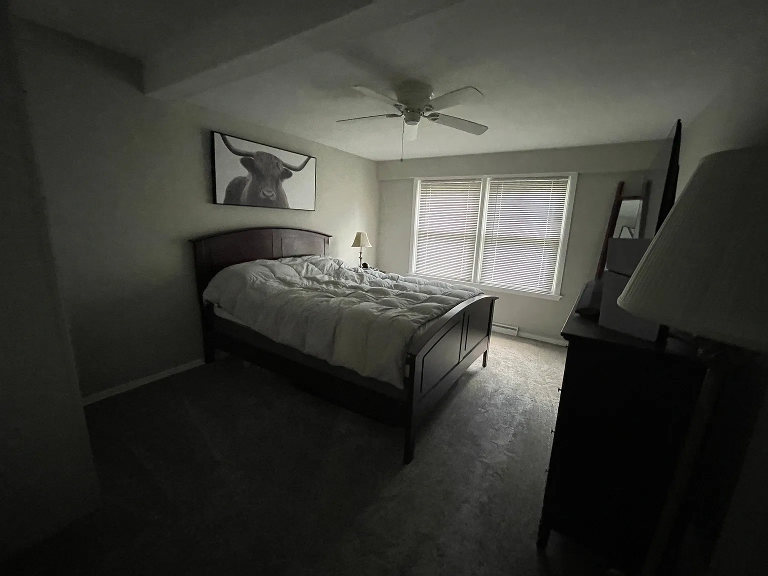 1 bdrm/1 bath lower — Photo 4