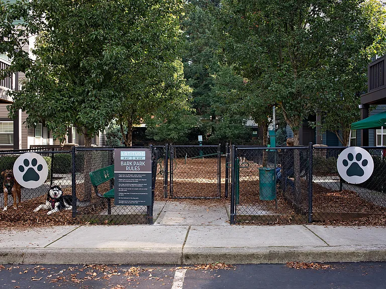 Bark Park