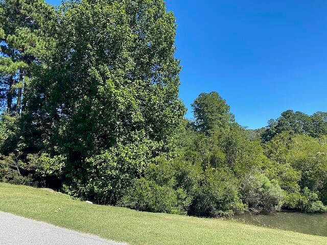 2nd image of 0 Chapel Creek Dr