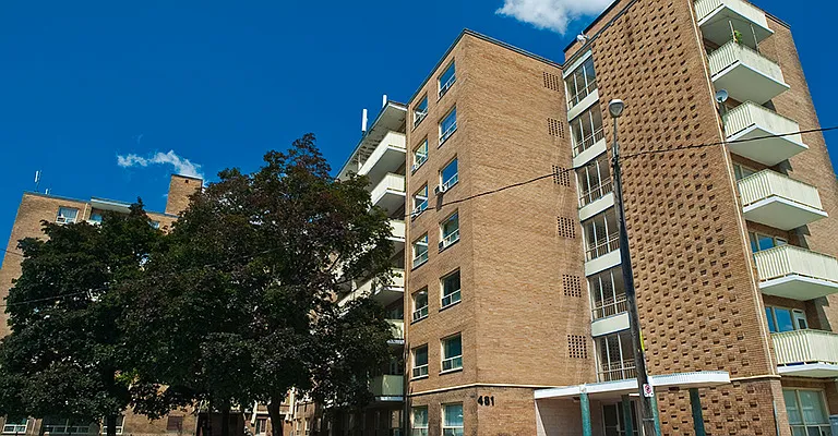 481 Vaughan Rd — Photo 4