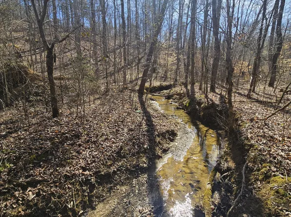 0 Lick Creek Rd, Tellico Plains, TN 37385