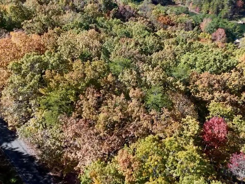 1st image of 207 Laurel Mountain Rd