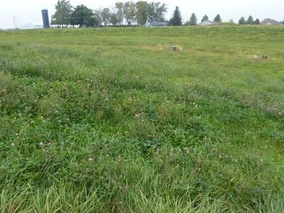 409 Coneflower Ct #411, Monroe, IA, 50170