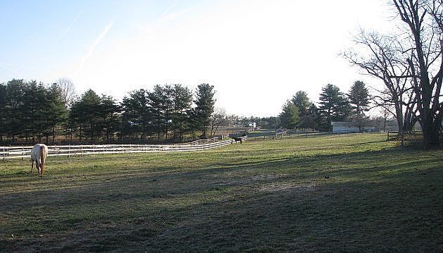 Pasture 