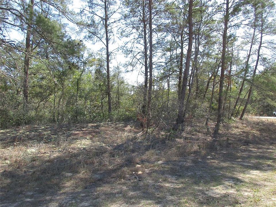 1st image of 4381 W MALALUKA CIRCLE LOT 1