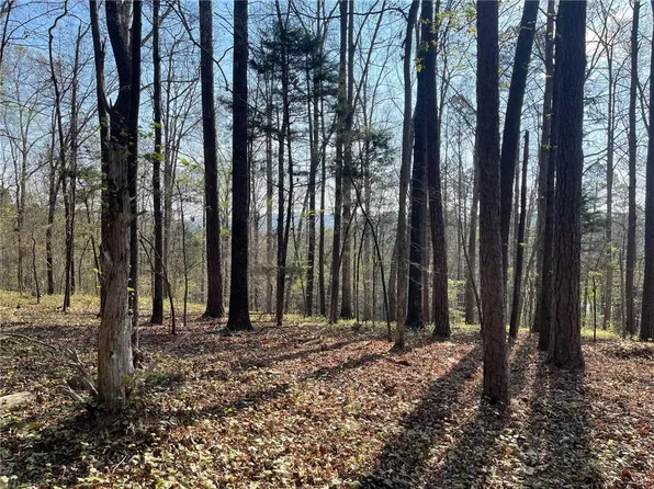 Township Road 1b Chalcrest Way Trl #1B, Cave Spring, GA 30124