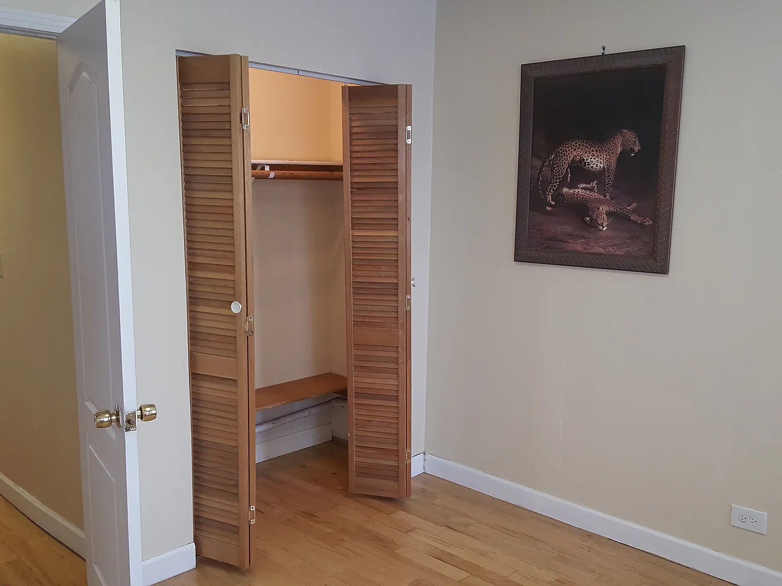 2 bed, 700 sqft, $1,850 — Photo 4