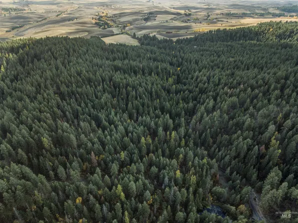 Tbd Foothill Rd, Moscow, ID 83843