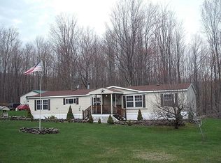 333 Jones Hill Rd, Jefferson, NY 12093