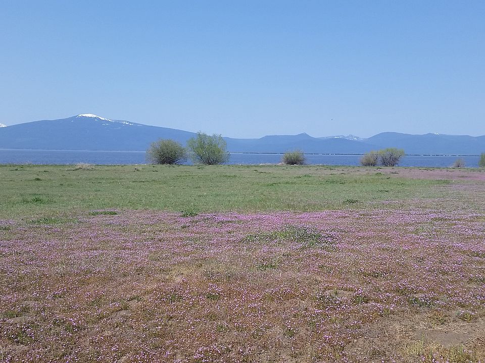 Property Looking West