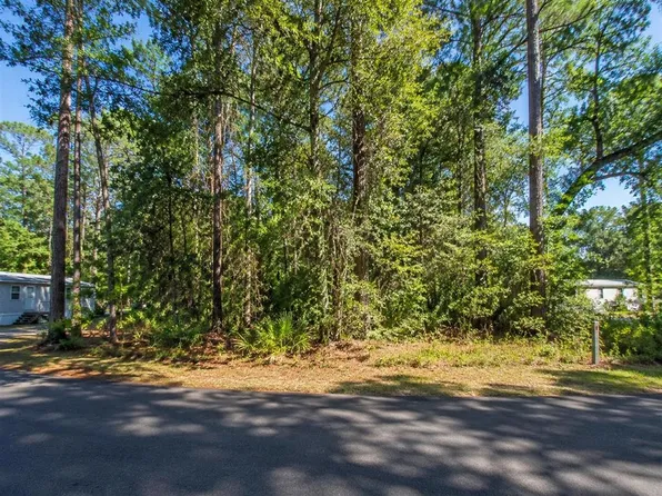 GEORGIA STREET LOT 5, PAISLEY, FL 32767