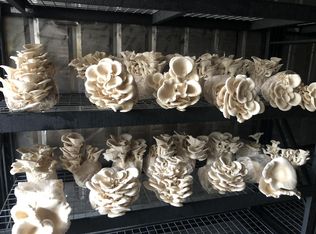 Nka Wilson Rd, Heron, MT 59844