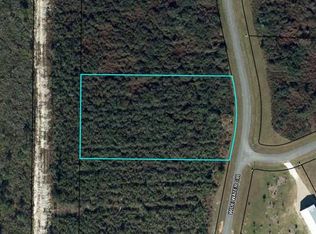 LOT 100 Wide Water Cir, Wewahitchka, FL 32465