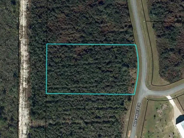 LOT 100 Wide Water Cir, Wewahitchka, FL 32465