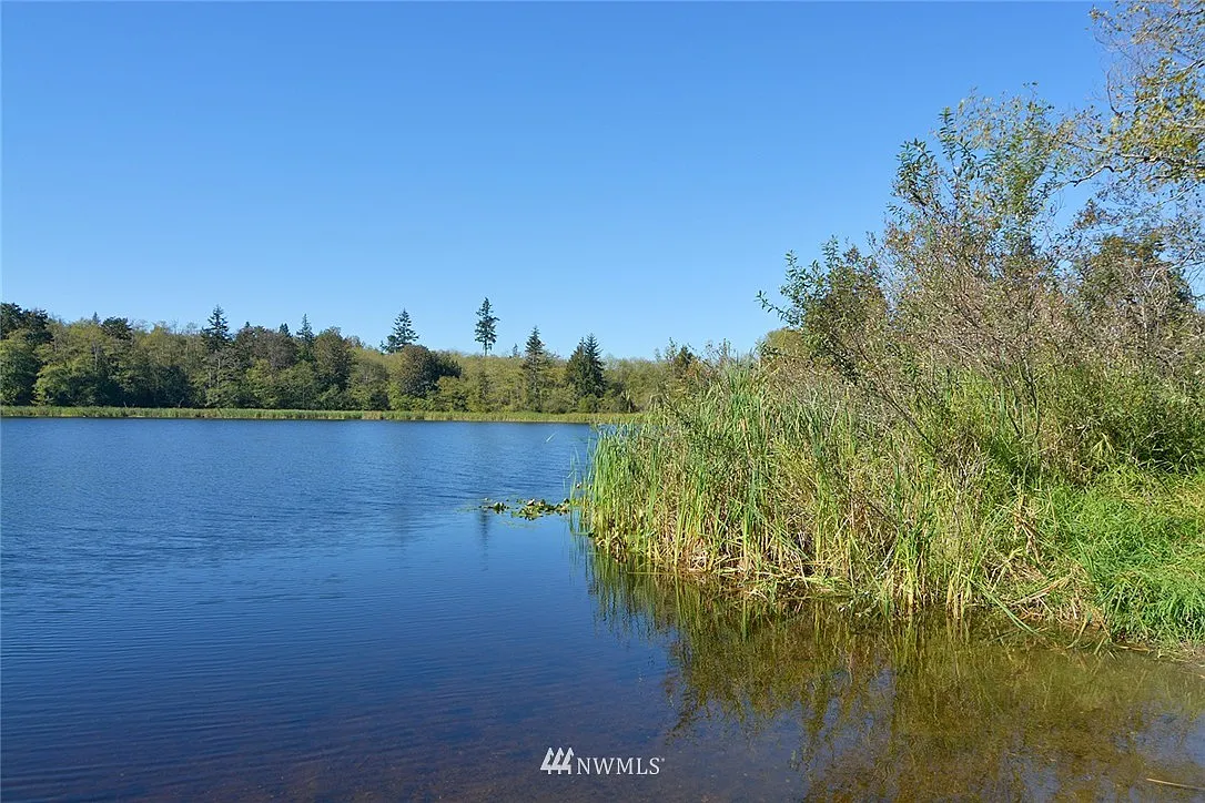 0 Buck Lake Road photo 1