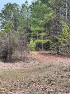 (Undisclosed Address), Arkadelphia, AR, 71923