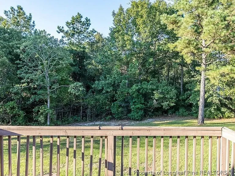 52 Forest Mountain Ct — Photo 16