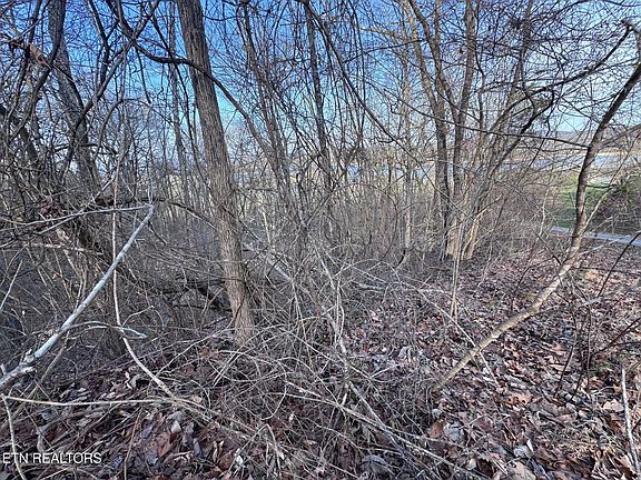 3rd image of 344 Larayne Hollow Rd