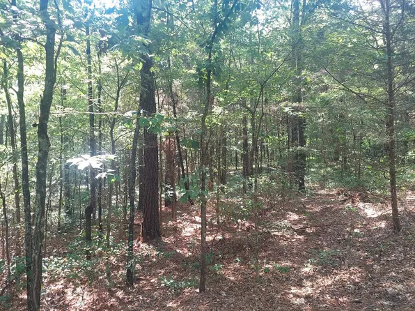 0 Radford Lake, Henry, TN 38231