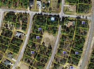10798 N Dragonis Dr LOT 1700, Dunnellon, FL 34433