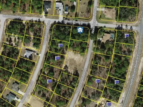 10798 N Dragonis Dr Lot 1700, Dunnellon, FL 34433