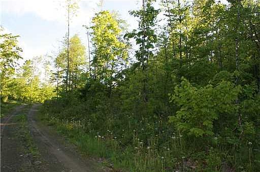 2nd image of 0 Westford Hill Road