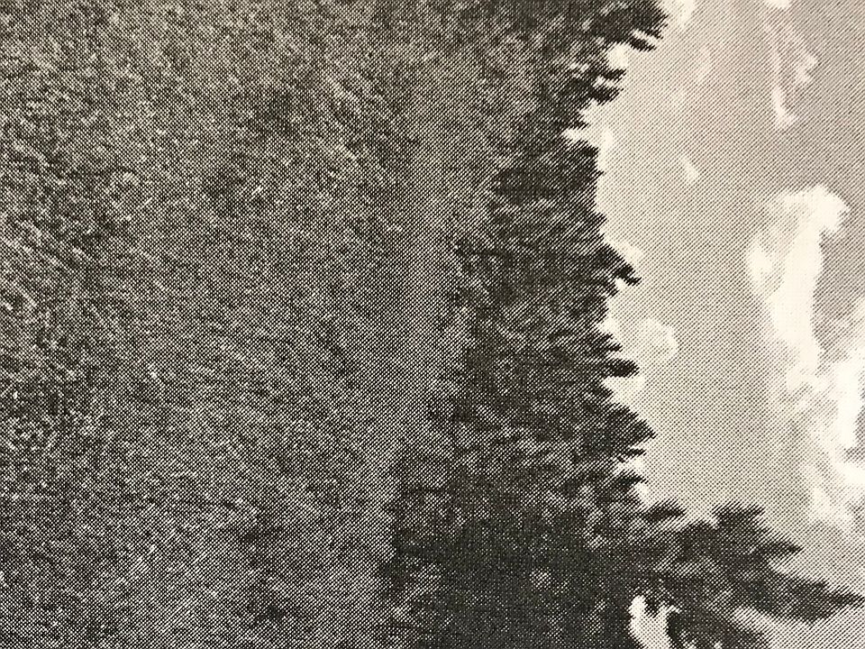 1st image of LOT 0 Beal Ln