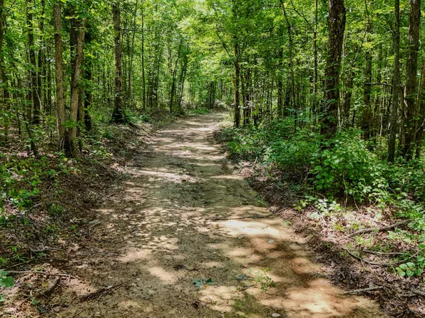 0 Keazy Hollow Rd, Waynesboro, TN 38485