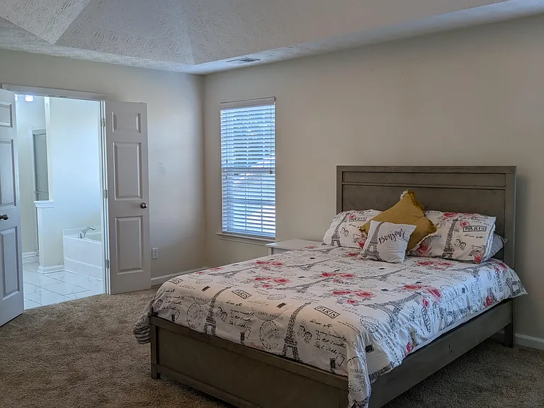 Master Bedroom with 2 closets