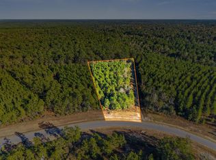 12696 Oak Barrel Rd, Willis, TX 77378