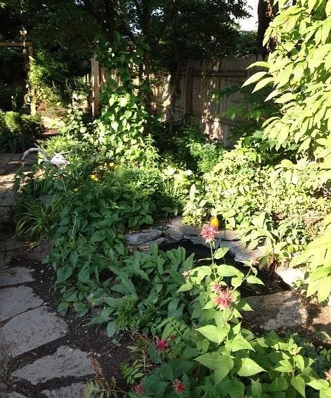 361 Hamilton St — Photo 15