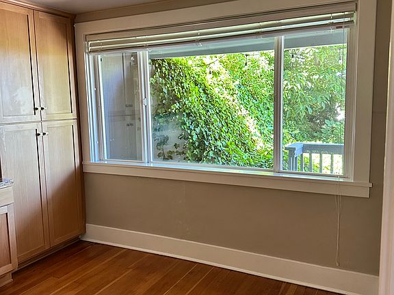 Kitchen window