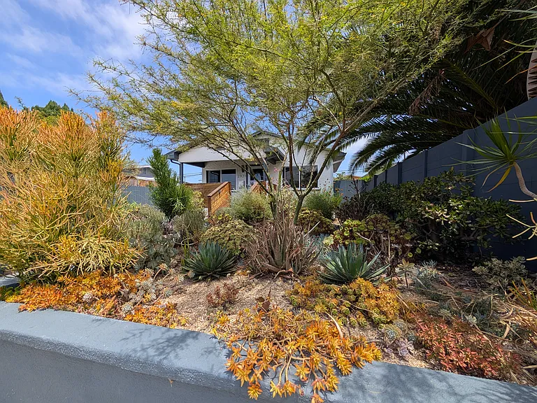 Front yard