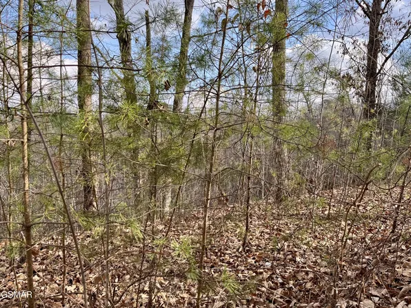 106 & 107 Dollys Dr, Sevierville, TN 37876