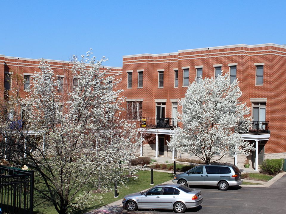 Courtyard in spring