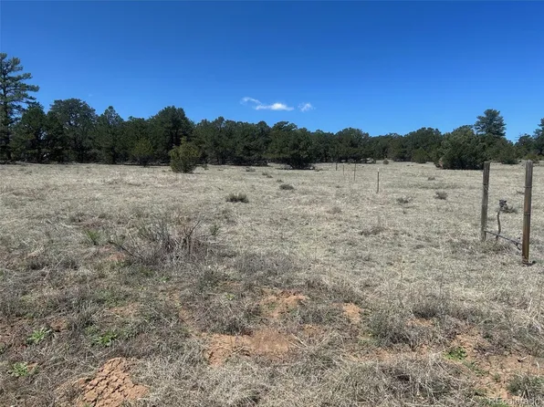 35th Trail, Cotopaxi, CO 81223