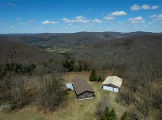 48 Wood Ln, Walton, NY 13856