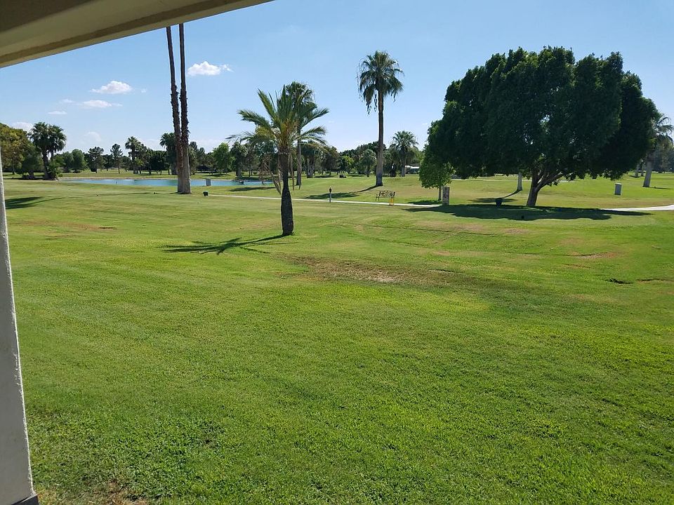 View from the patio